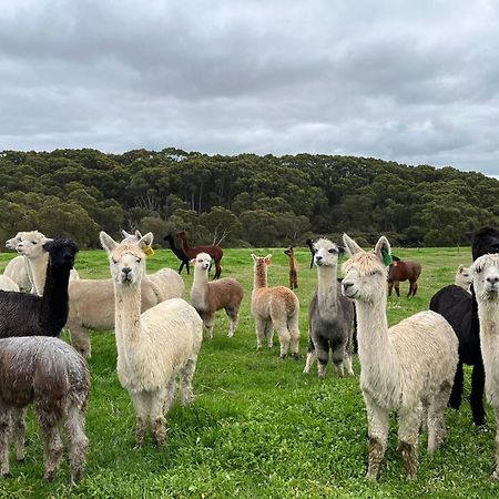 Twelve Apostles Motel & Country Retreat Princetown Esterno foto