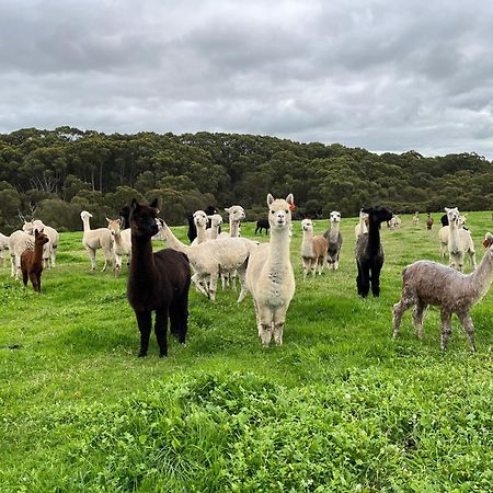 Twelve Apostles Motel & Country Retreat Princetown Esterno foto