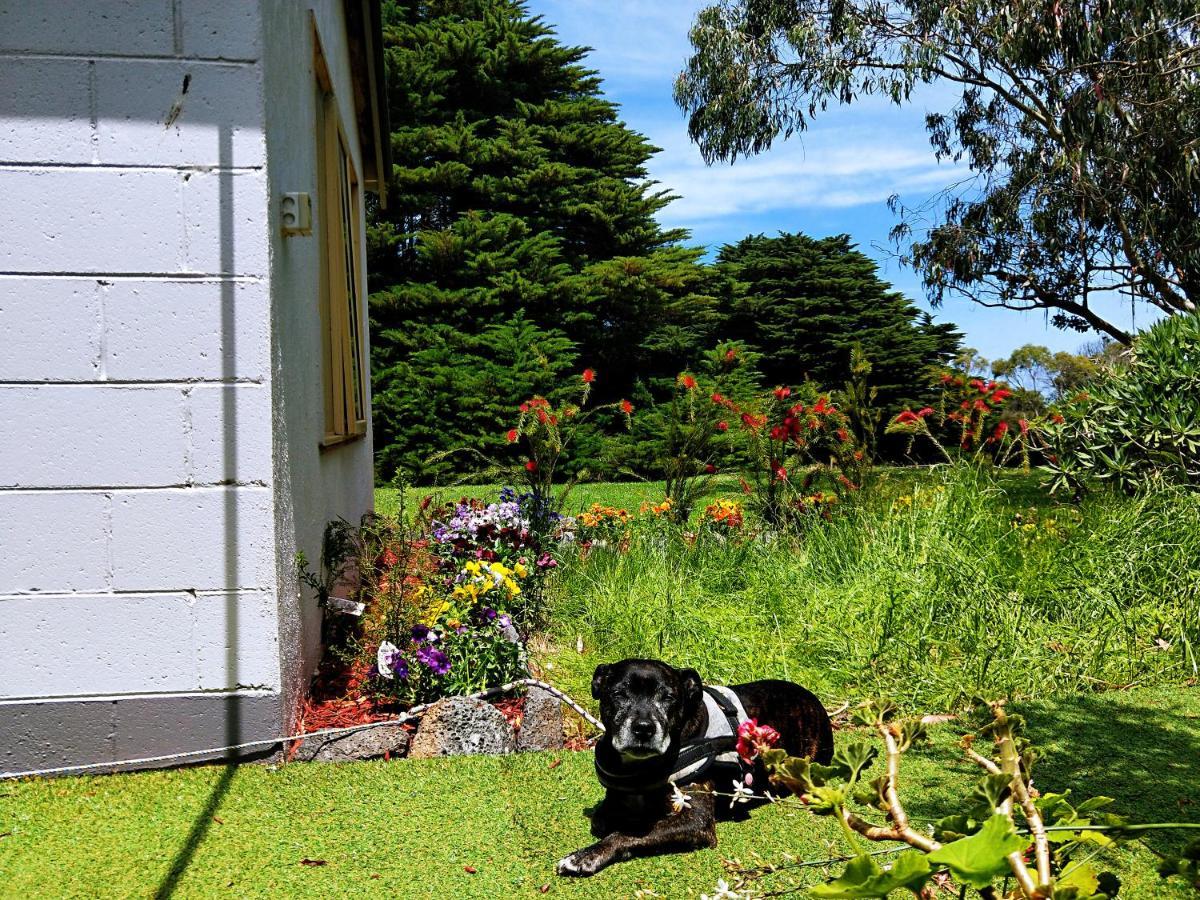 Twelve Apostles Motel & Country Retreat Princetown Esterno foto
